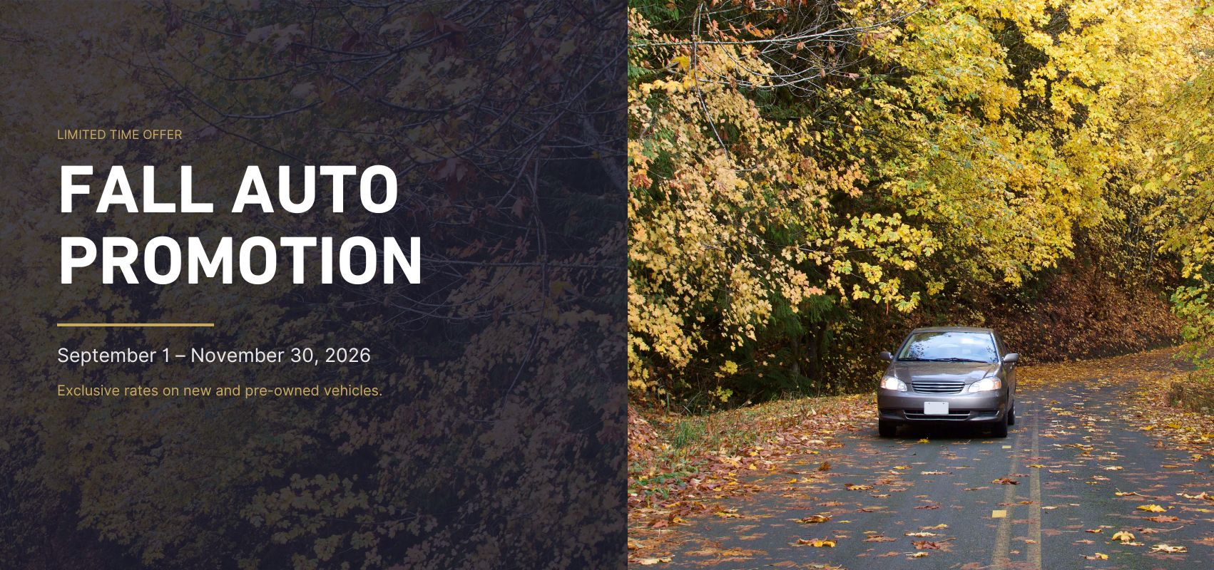 Fall Auto Promotion